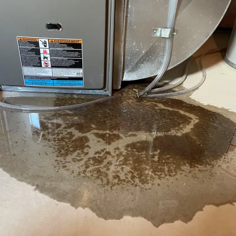 Appliance Leak Cleanup in Greenfield, CA